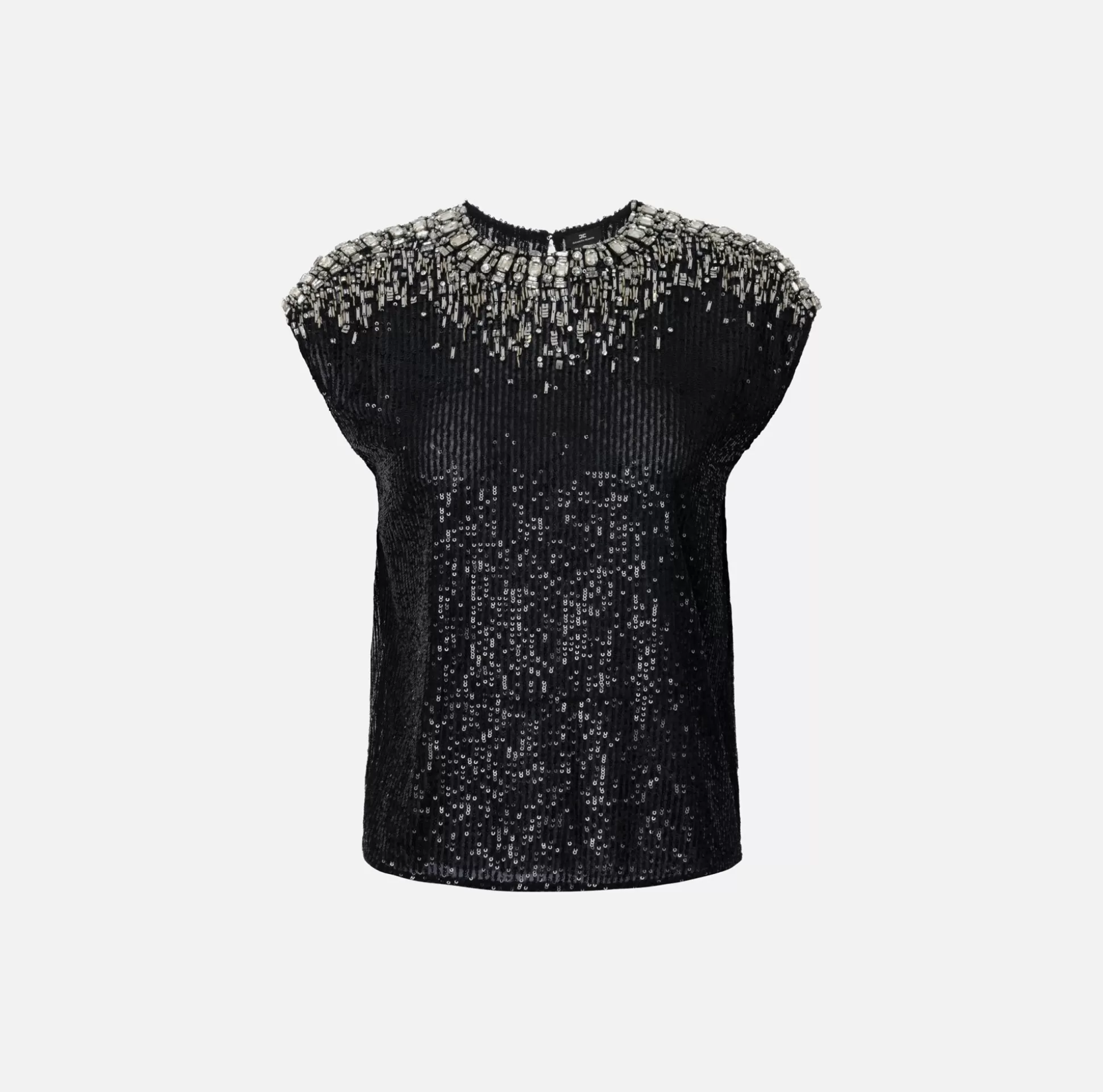 Elisabetta Franchi Top, T-Shirt & Body^Top In Tulle Ricamato